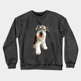 Mini Schnauzer Super Cute Dog! Crewneck Sweatshirt